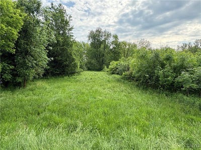 /international/us/eddy-road-canastota-ny-110102882302/