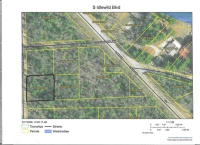 /international/us/s-idlewild-boulevard-idlewild-mi-110110252525/