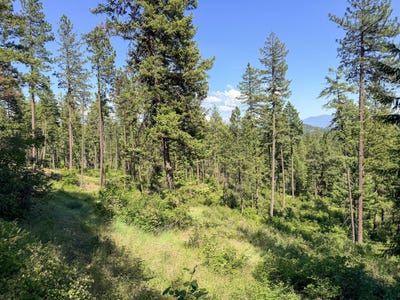 /international/us/2008-tbd-lots-e-h-summit-valley-rd-addy-wa-110108542427/