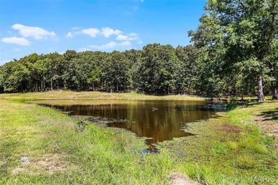/international/us/-31-46-ac-tract-4-horstman-road-new-haven-mo-110098596624/