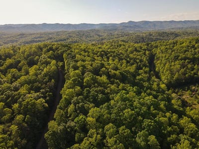 /international/us/turkey-ridge-drive-lot-30-ferrum-va-110108012154/