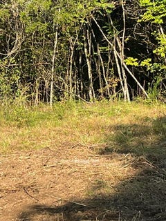 /international/us/420-blacks-ferry-road-burkesville-ky-110110307424/