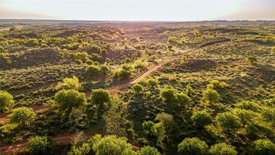 /international/us/1241-county-road-24-estelline-tx-110102086910/