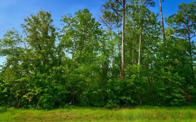 /international/us/lot31-nw-23rd-blvd-jennings-fl-110099863054/