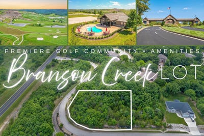 /international/us/165-forest-oak-drive-hollister-mo-110108424244/