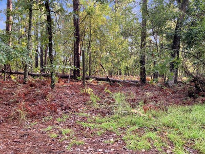 /international/us/2470-hancock-landing-road-waynesboro-ga-110101529128/?lang=de