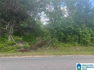 /international/us/2174-county-highway-34-haleyville-al-110098549689/