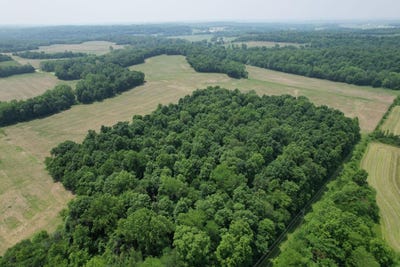 /international/us/-township-road-164-west-liberty-oh-110098566790/?lang=zh-tw