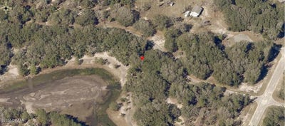 /international/us/malauka-radial-road-ocklawaha-fl-110104999634/