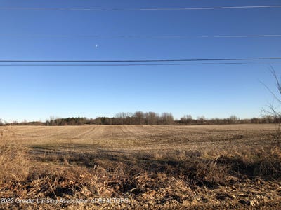 /international/us/v-l-n-grove-lansing-mi-110078850096/