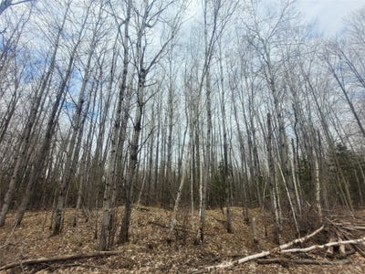 /international/us/on-broken-arrow-road-holcombe-wi-110120586236/