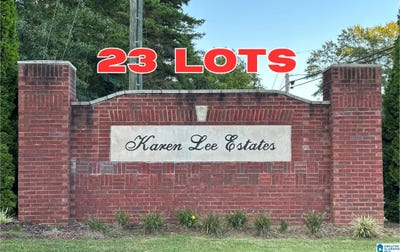 /international/us/ronny-lane-lot-1-springville-al-110087202627/