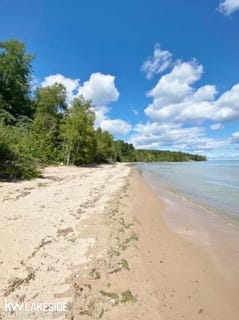 /international/us/6248-lakeshore-drive-palms-mi-110108170708/
