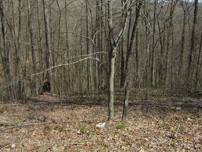 /international/us/hunters-s-landing-lane-lot-28-smithville-tn-110120119736/
