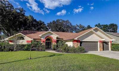 /international/us/3929-buckingham-loop-drive-valrico-fl-110120745353/