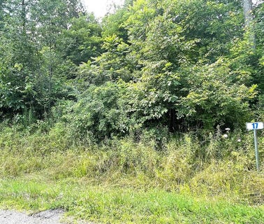 /international/us/lot-17-hemlock-hills-rd-towanda-pa-110090761125/