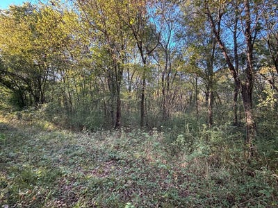 /international/us/tbd-walnut-st-mccurtain-ok-110108250570/