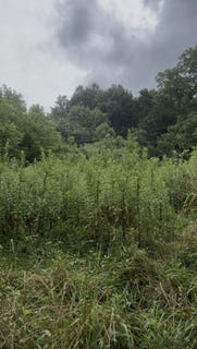 /international/us/collins-road-blaine-tn-110101137729/?lang=zh-cn
