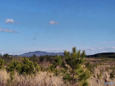 /international/us/415-acres-beaird-road-gadsden-al-110090622273/
