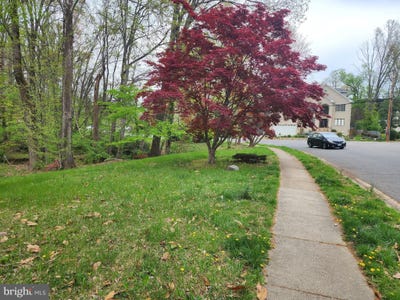 /international/us/7669-long-pine-springfield-va-110107726716/