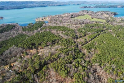 /international/us/20-acres-murphy-hill-road-langston-al-110098037833/?lang=zh-tw