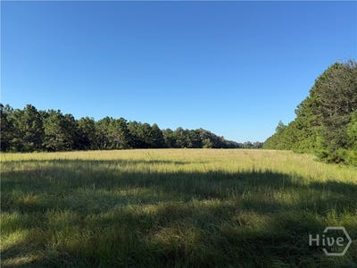 /international/us/sunbury-road-claxton-ga-110105935658/