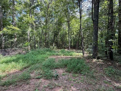 /international/us/lot-17-larue-lane-ellijay-ga-110101211443/?lang=it
