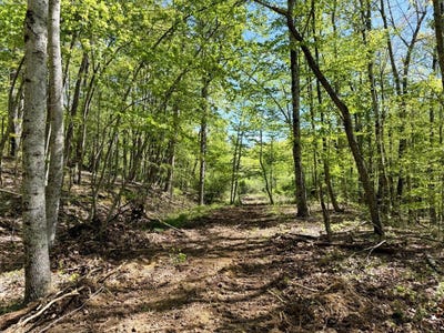 /international/us/hinton-rd-white-oak-wv-110108501441/