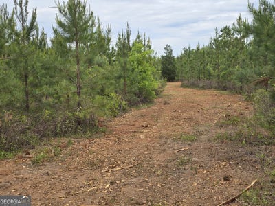 /international/us/12-marvin-murphy-road-ellaville-ga-110101178616/?lang=zh-cn