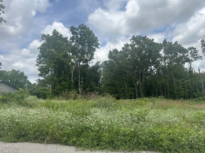 /international/us/creswell-avenue-lot-17-joplin-mo-110108583607/