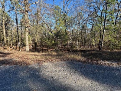 /international/us/65-jimmerson-road-higden-ar-110107339892/