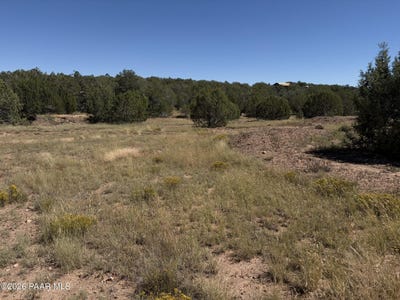 /international/us/33571-w-cobre-circle-seligman-az-110120413889/