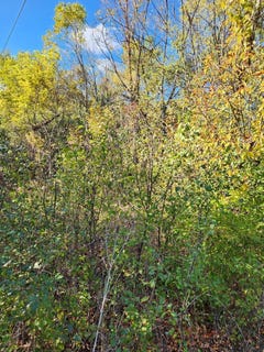 /international/us/0s760-cleveland-street-lot-13-winfield-il-110100261383/