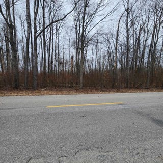 /international/us/poor-farm-road-lot-11-12-greenbush-mi-110091455172/?lang=zh-tw