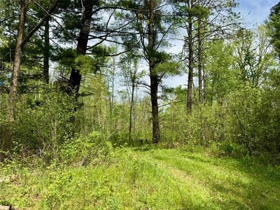 /international/us/xyz-county-road-39-rutledge-mn-110108348152/