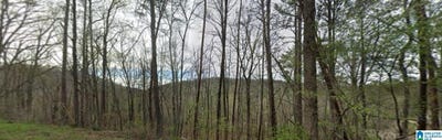 /international/us/red-valley-road-lot-00000-remlap-al-110108607146/