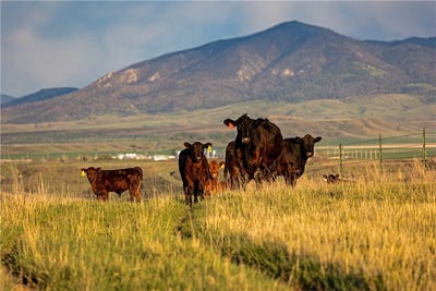 /international/us/204-husted-road-lewistown-mt-110108358620/