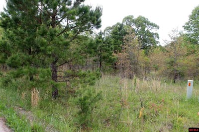 /international/us/farmer-circle-lot-25-salesville-ar-110108202514/