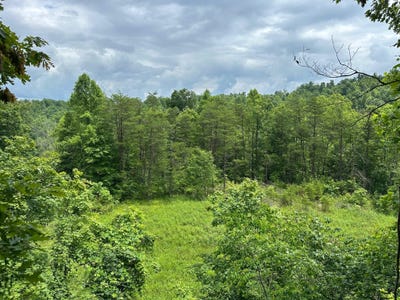 /international/us/22-clay-camp-road-hitchins-ky-110100064965/