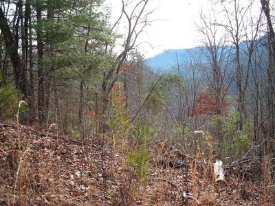 /international/us/cedar-cliff-stovall-lot-11-tuckasegee-nc-110100725377/