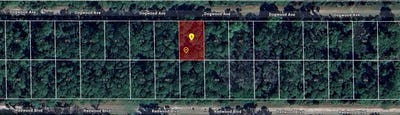 /international/us/423-dogwood-avenue-georgetown-fl-110110215656/
