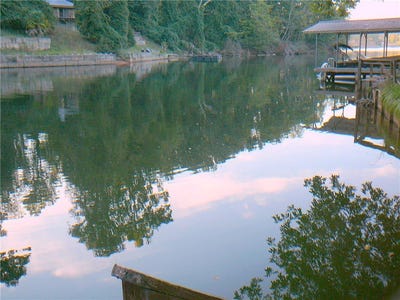 /international/us/88-catfish-cove-road-abbeville-sc-110120129571/