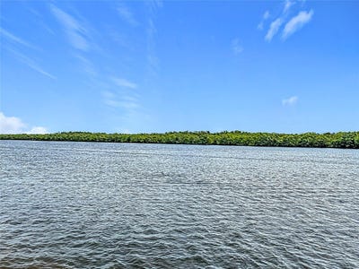 /international/us/809-bahia-del-sol-drive-ruskin-fl-110100260364/