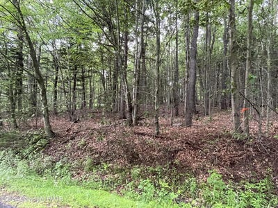 /international/us/131-cardinal-2229-drive-clifton-township-pa-110092560948/