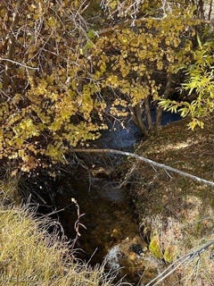 /international/us/700-davis-meadow-trail-dyer-nv-110095947297/?lang=zh-tw