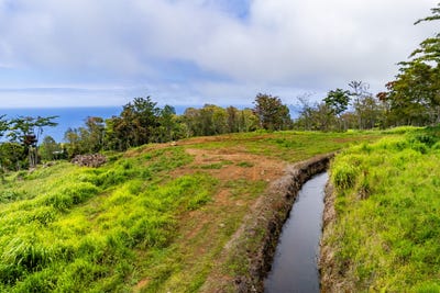/international/us/honokaa-hi-110108281876/