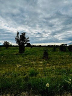 /international/us/389-jefferson-street-kalispell-mt-110101065704/?lang=zh-cn