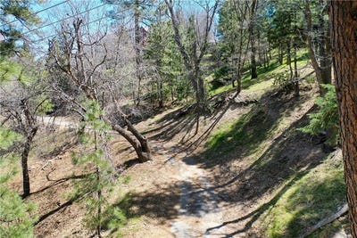 /international/us/yukon-drive-lake-arrowhead-ca-110098966642/