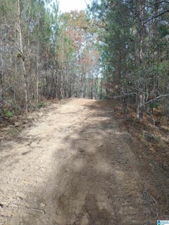 /international/us/334-serenity-lane-lot-1-alpine-al-110109299701/
