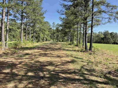 /international/us/tbd-lakeland-ranch-sec-1-blk-1-lot-14-hillister-tx-110091120647/?lang=zh-tw